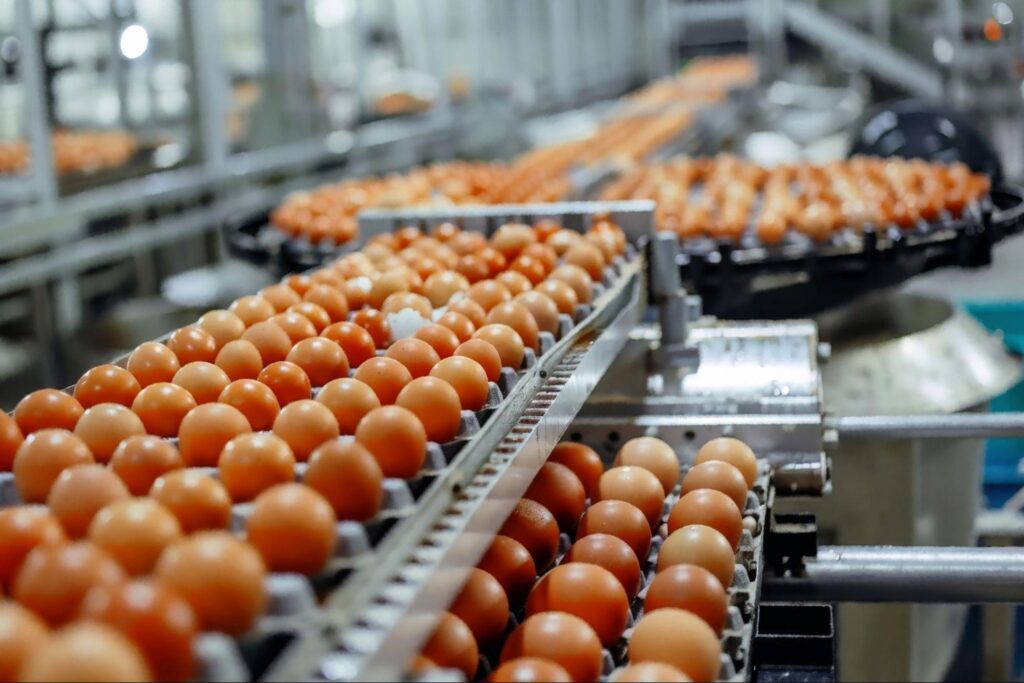 Egg trays on a conveyor aqueous parts cleaning.