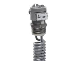 Heater, 8KW 480V 3PH 2"NPT/Resin Cap